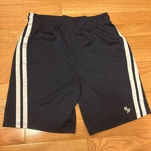 Blue Shorts with White Stripes